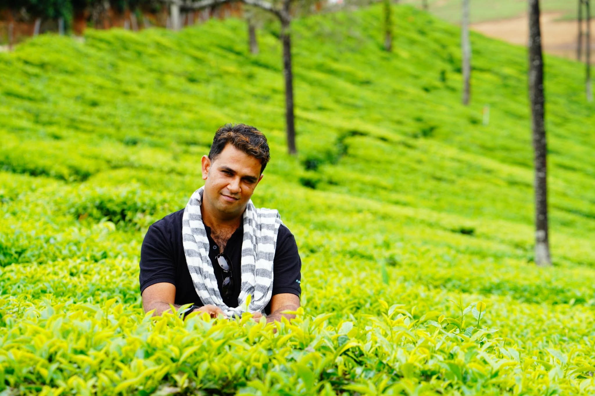 TeaGardenia photo